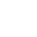Portfolio Icon