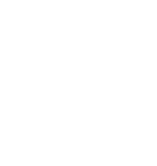 Portfolio Icon